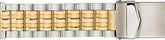 ALPINE Buckle Band 24mm Straight Ends 524